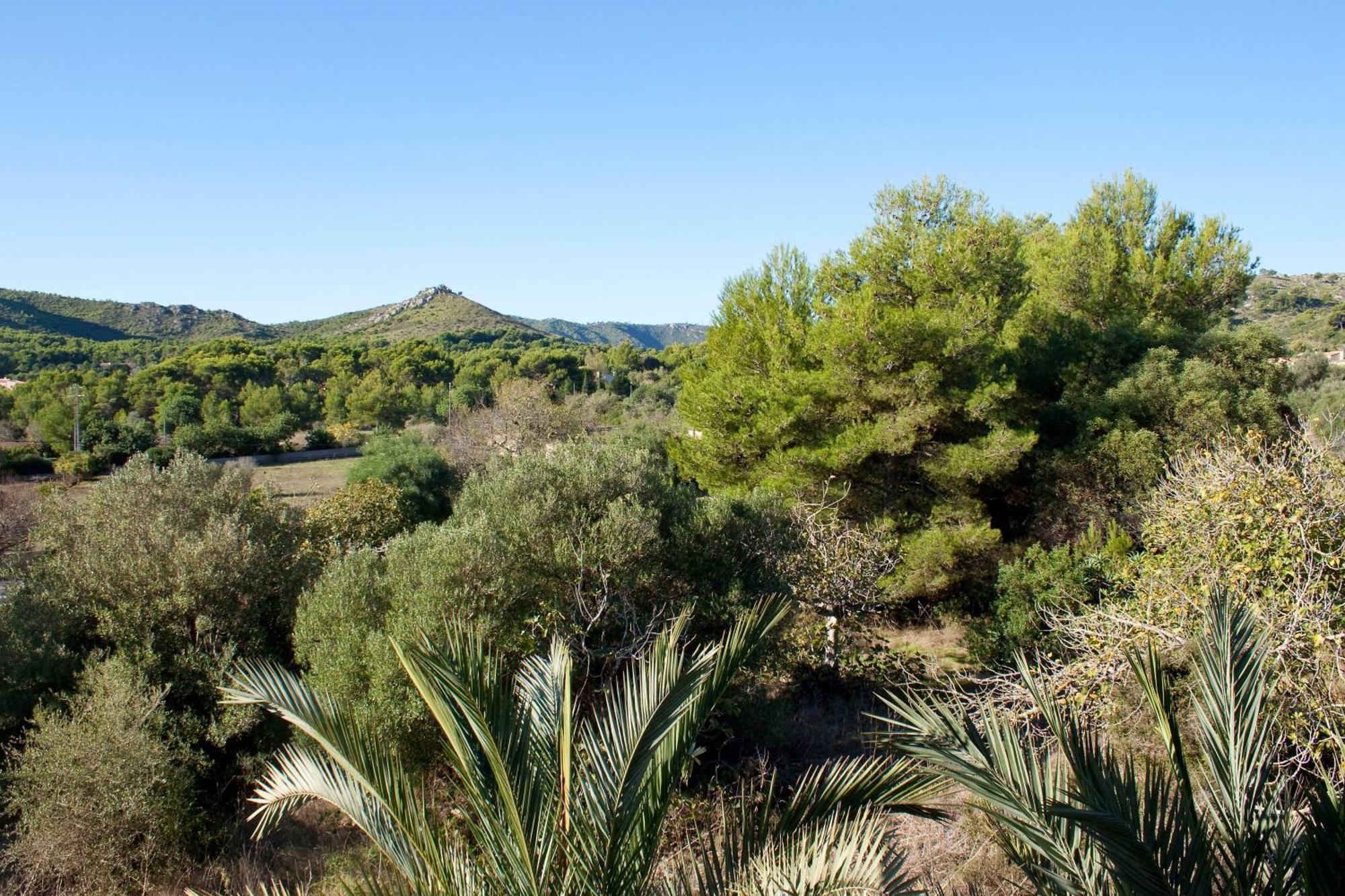 Fonda Palmeras Maison d'hôtes 2*